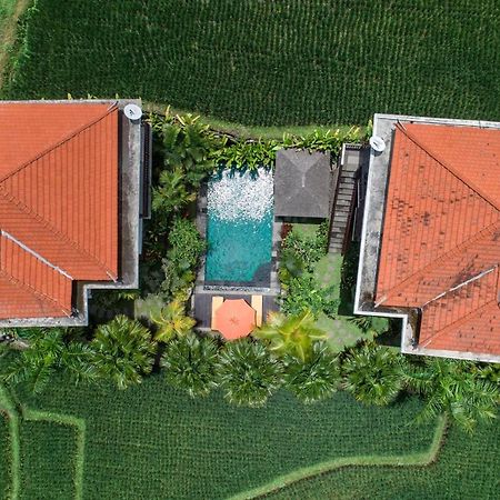 Cenik Villa Ubud Ngoại thất bức ảnh