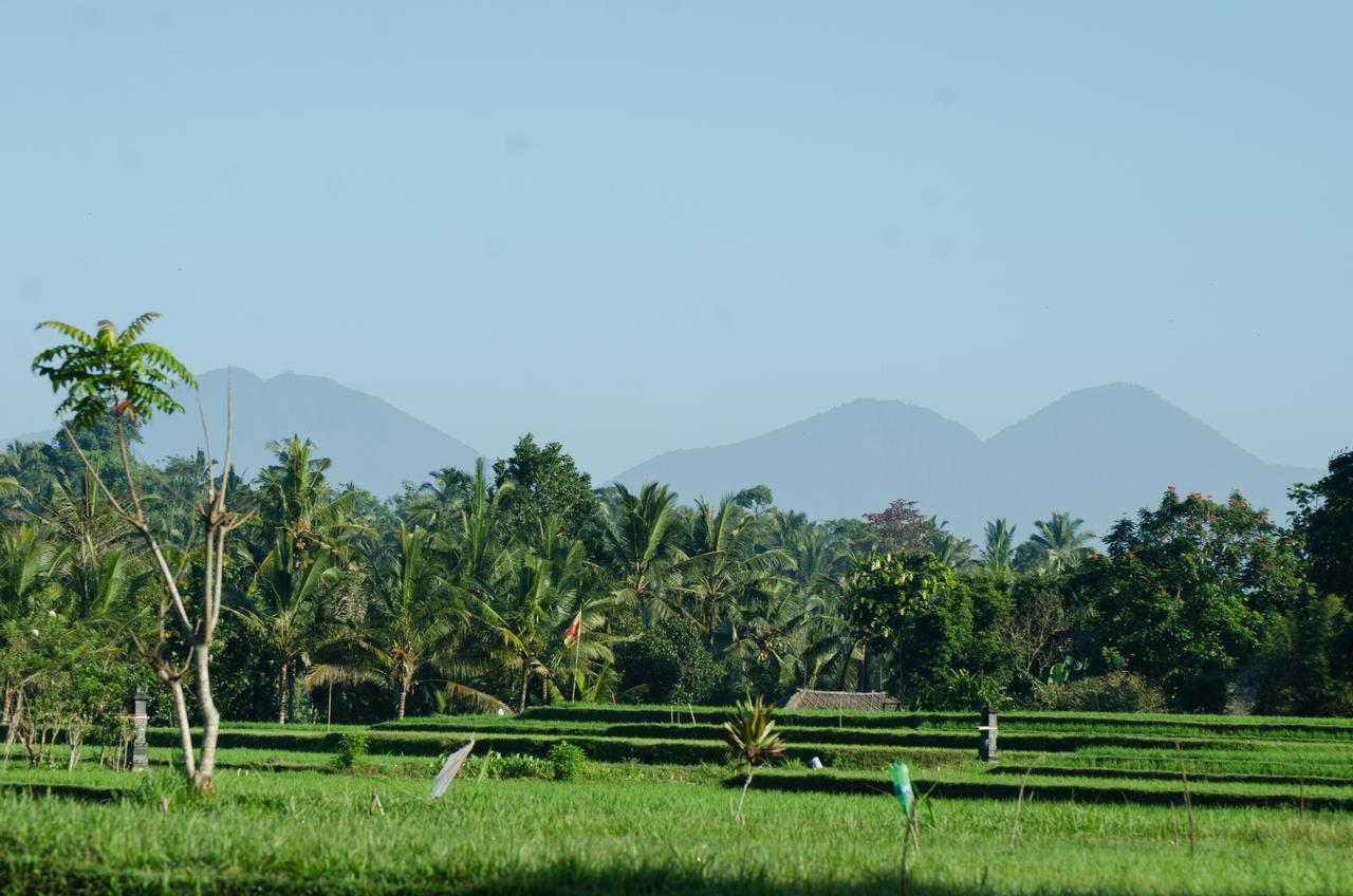 Cenik Villa Ubud Ngoại thất bức ảnh