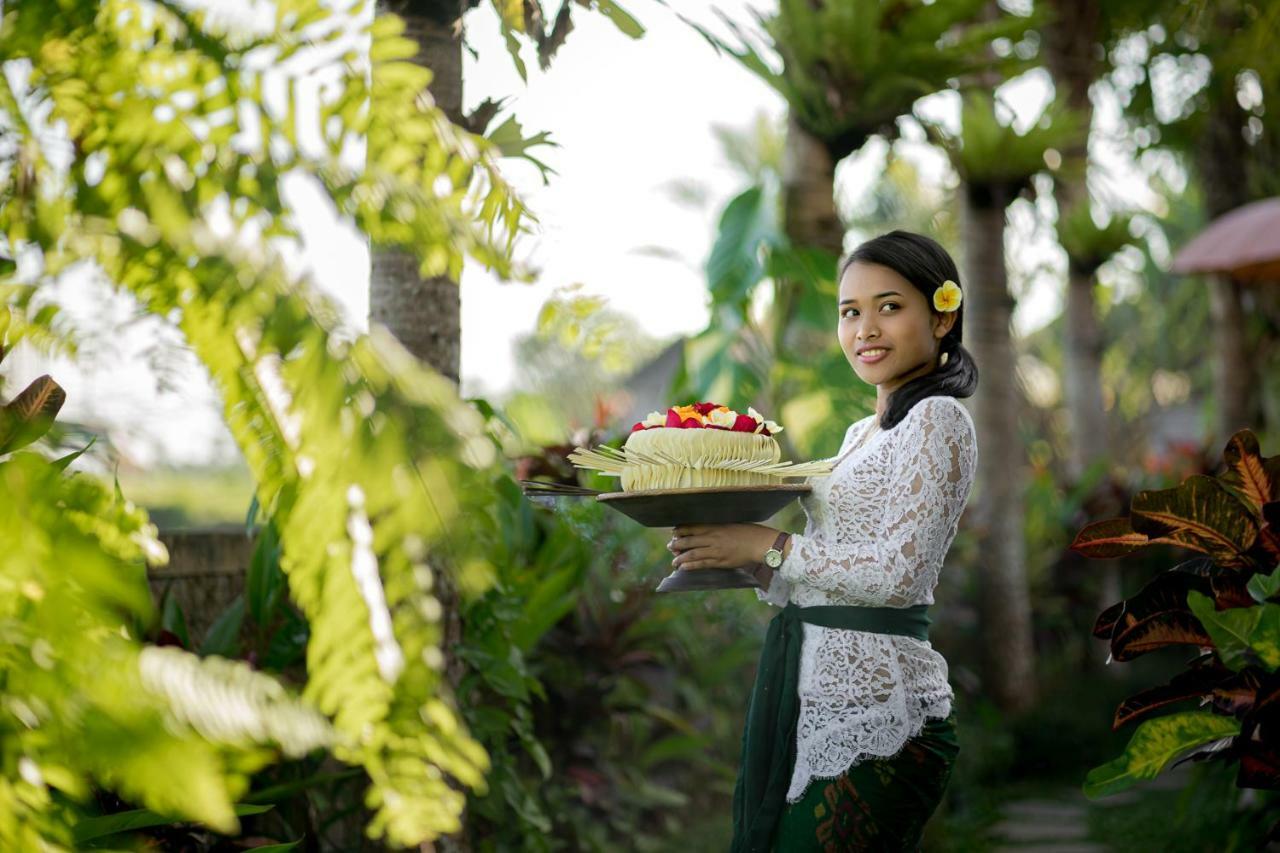 Cenik Villa Ubud Ngoại thất bức ảnh