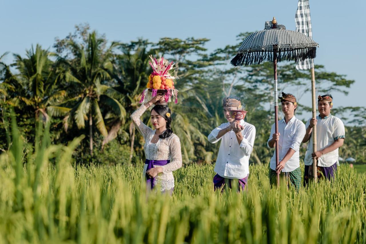 Cenik Villa Ubud Ngoại thất bức ảnh