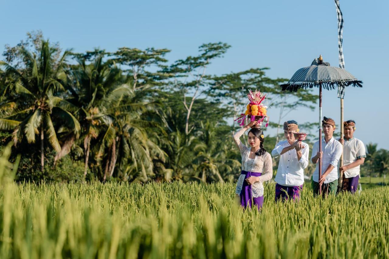 Cenik Villa Ubud Ngoại thất bức ảnh