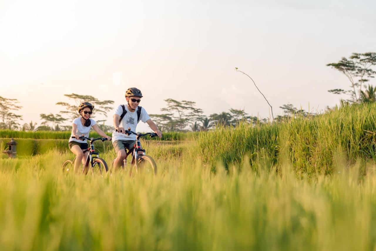 Cenik Villa Ubud Ngoại thất bức ảnh